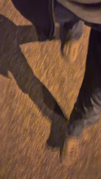 Pissing Jeans in Public