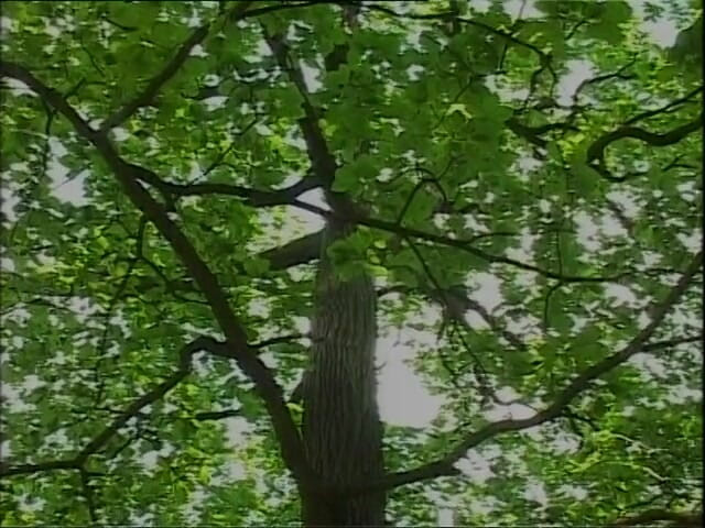 Xtime Network: jangal men choot chudaee