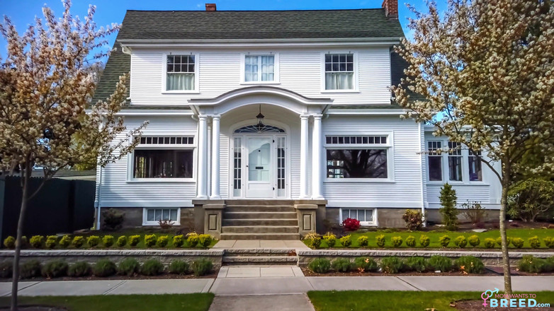 MomWantsToBreed: Bunga untuk ibu tiri saya - s2:e10