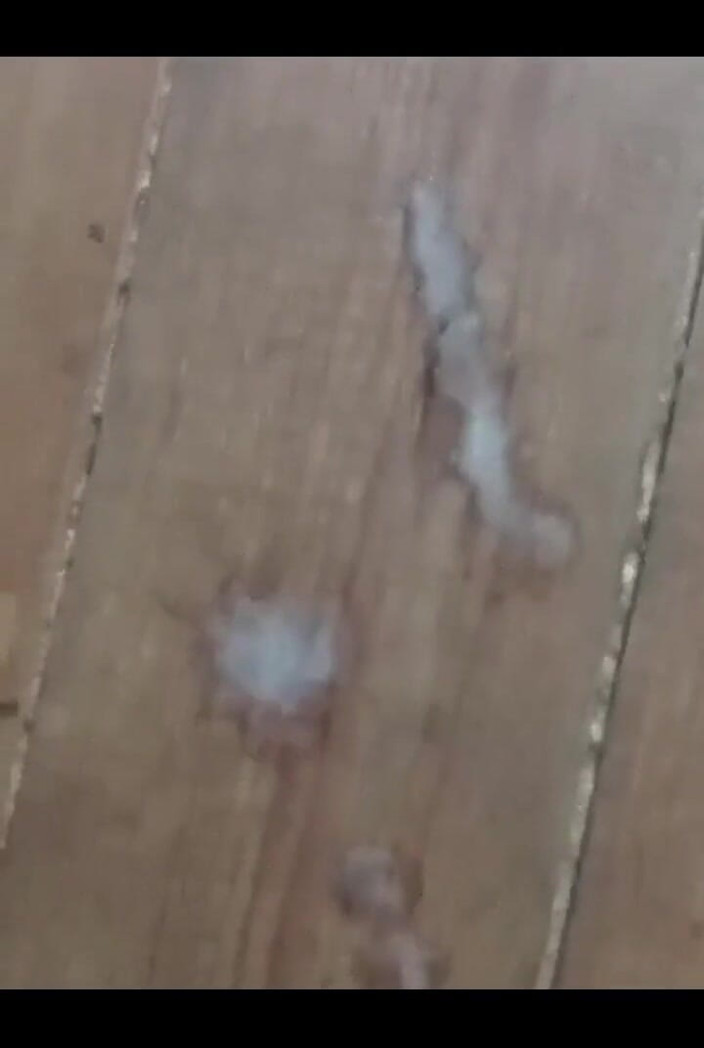 Haydenbbc: Masturbándose