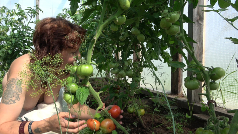 Hera Harding: Country MILF Se Masturbe Devant Des Tomates Rougir