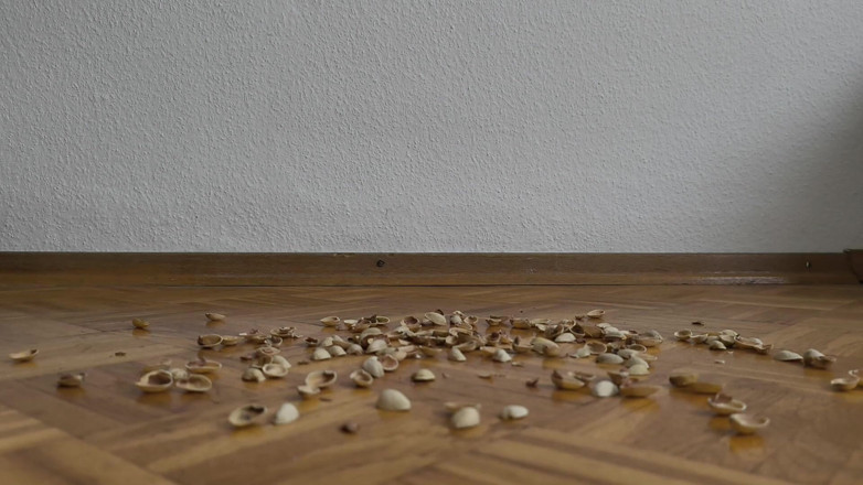 Your QueenXoXo: 130kg žena chodí po pistachio shells - křupavé zvuky