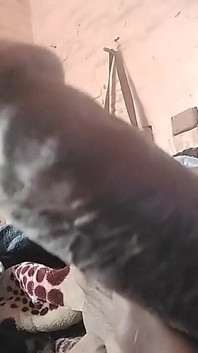 My Cock Is Very Hard and Long