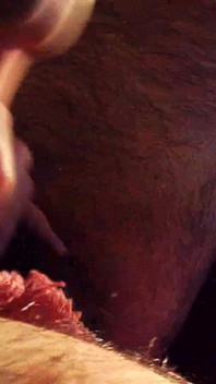Bite rose intrusive en gros plan