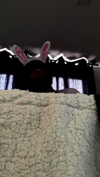 Hot Throatpie.... Bunnie 2.0 Vol.2