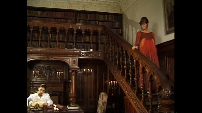 Cinema X: Hairy Pussy Countesses Fucked by the Man in the Iron...