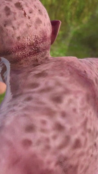 The Ogre and the Forest of Fat Ass