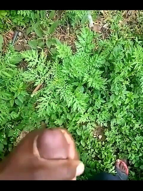 Haydenbbc: Haydenbbc