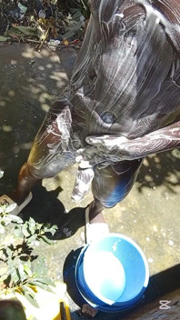 Mature Hard Black Dick Gets Real Shower