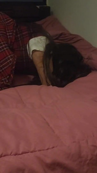 That's How I Like It!! My Naughty Stepsister Failed a Subject at School!! She Earned a Good Spanking and a Fuck - Part 2