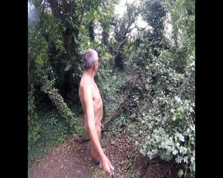 Andy: Doğa Koruma Alanı