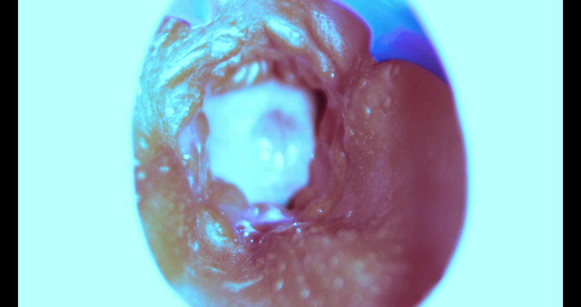 SEXY_GUYBEST: Como eu fodo de dentro! Câmera dentro!