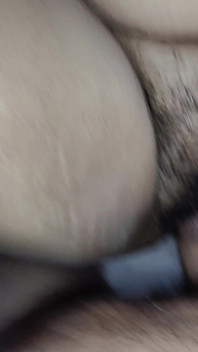 Desi punjabi coppia forte gemendo sesso