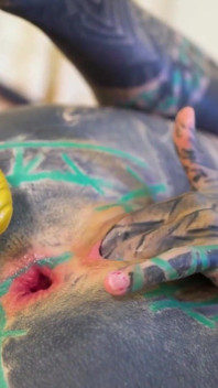 Tattoo Girl Masturbating, Fingering Her Pussy and Ass