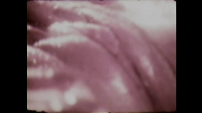 Vintage megastore: Vagina yang diinginkan