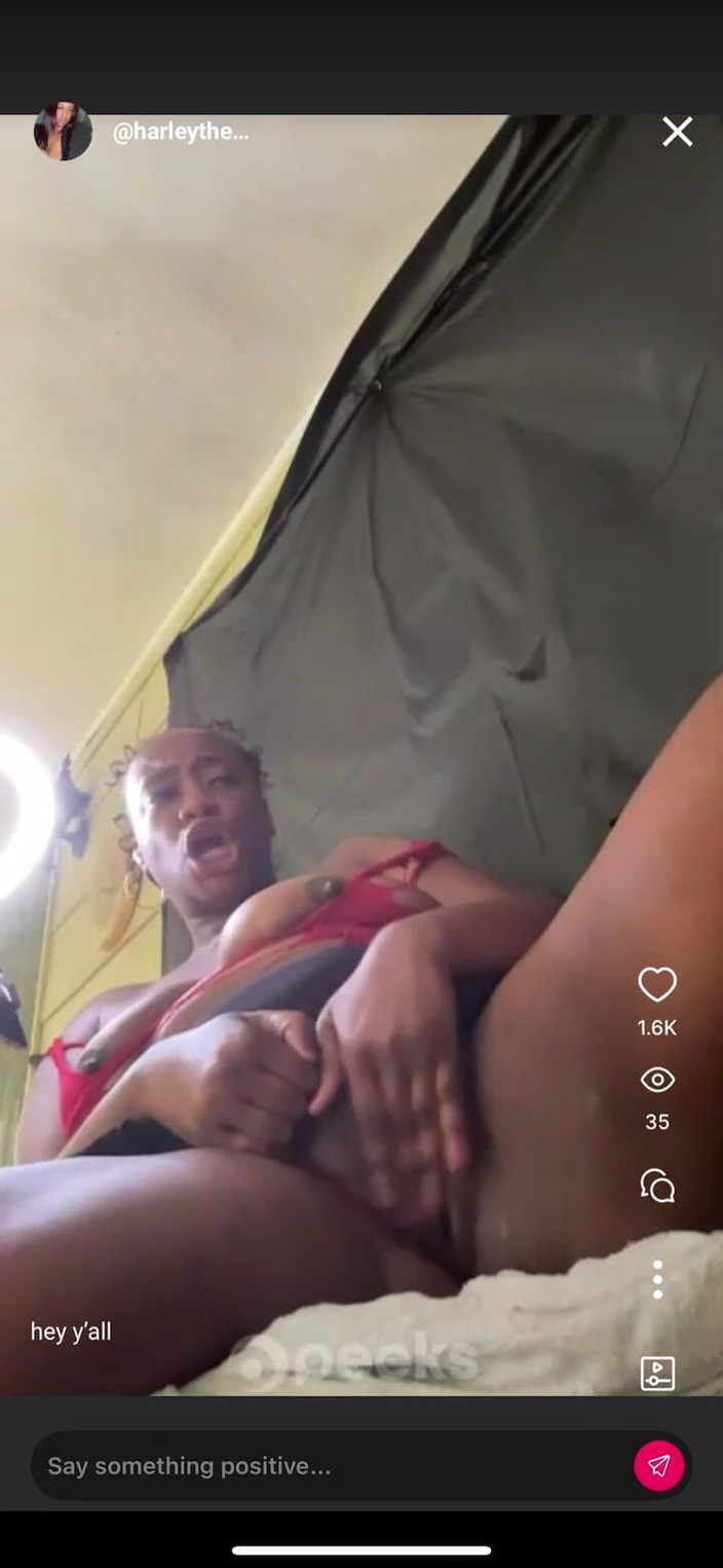 Harley Harper: Quasi schizzata sul mio ipad