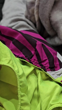 Cum in the Gusset of Nike Tempo Shorts