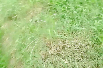 Gangbang straight: Индийский писсинг на улице утром