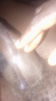 This How BBC Squirts Cum Flow