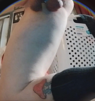 HungBareBackRabbit: Solo Fun