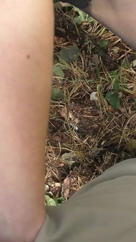 Cewek sange ini lagi asik nyepong kontol sambil pakai stoking tembus pandang