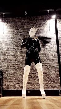 Dominatrix Unicorn