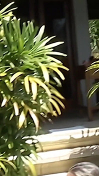 Pisse et douches dorées de Bali 2003, partie 2