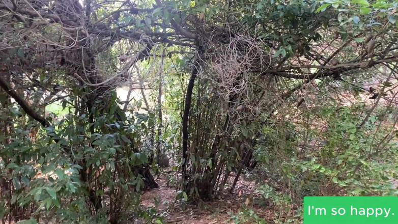 Juan Lucho: Berambut perang Argentina Menghisap Ayam Di Hutan