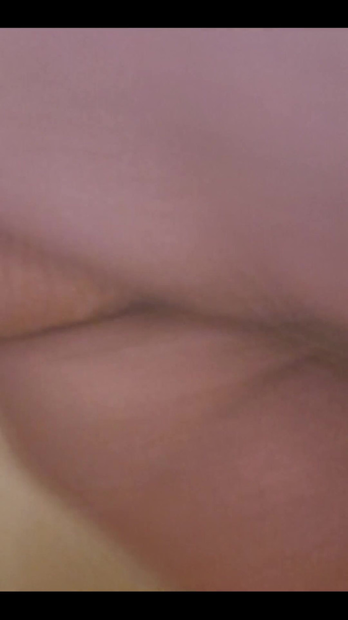 Curious Jay: お気に入りの4つのおもちゃすべてを使う