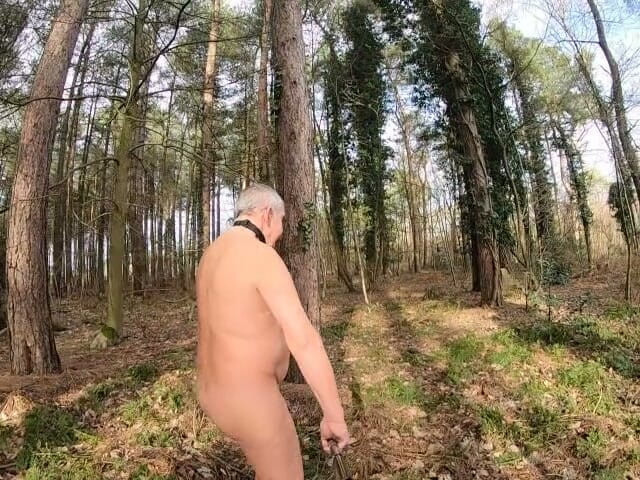 Andy: Passeggiata del sesso nei boschi 3