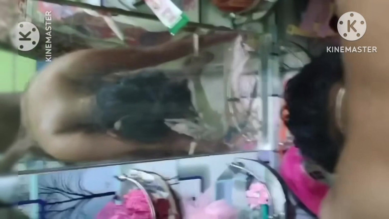 Indian porngirl: Секс молодой бхабхи раком