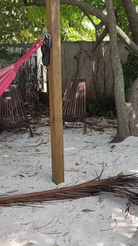Tante seksi tatiana dientot habis-habisan sama toket besar di miami bagian 1