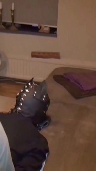 Fuck the Puppy