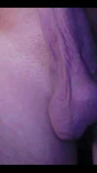 Amateur
