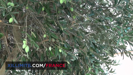 Made In France: Gorgeous mediterranean metisse is devoted to her boyfriend