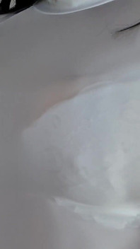 White Licra Top, D Cup Lace Bra