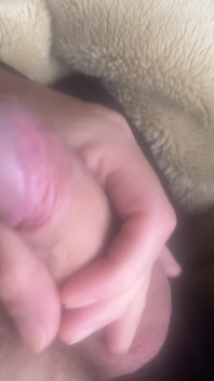 每天早上硬鸡巴