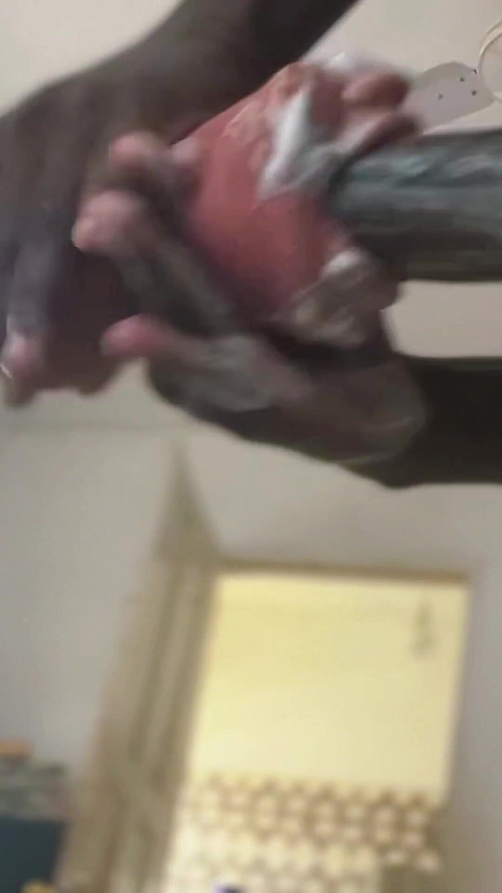 Bbc-godaddy: Babam o oyuncakla kremsi ve nast mı oldu.