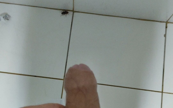 Straight Daddy Club: Быстрая мастурбация в ванной с тараками