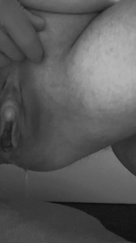展览