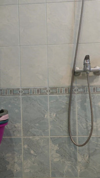 Shower Dick 2