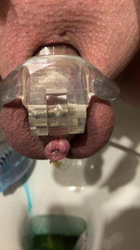 Pissing Chastity Cage