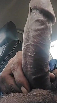 Top Class Long Dick