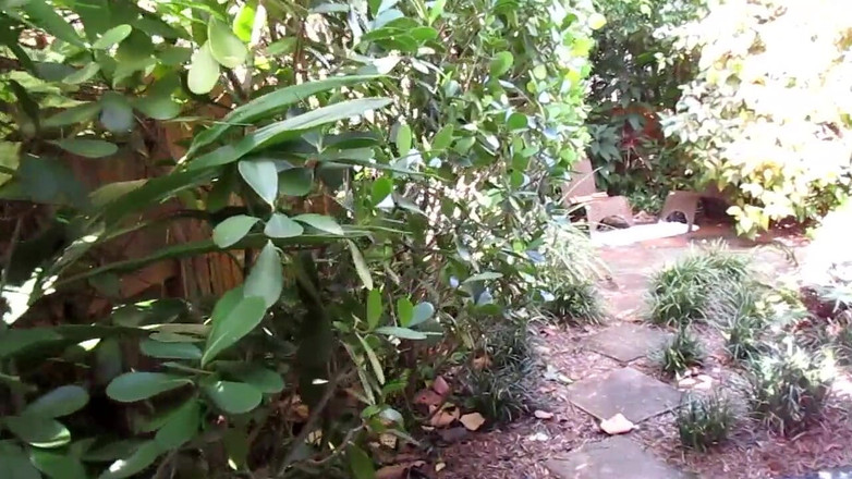 Mr hairy gardener: 정원 투어 Pt 1