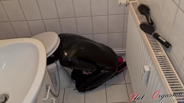 Slut Orgasma Celeste: Sclavă curvă - Orgasma Celeste în latex băut de pișat și curățarea toaletei