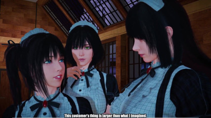 Wraith ward: Klient w pokojówce: Porno 3D