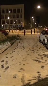 Гаряча брюнетка з волохатою кицькою писяє