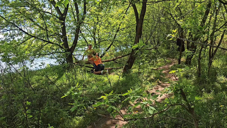 Nick Lewis: Tertangkap bercinta dengan dua pria di hutan