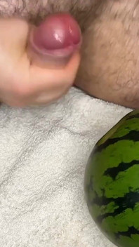 Ngentot melon
