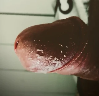 Tôn thờ con cu smegma của tôi simp